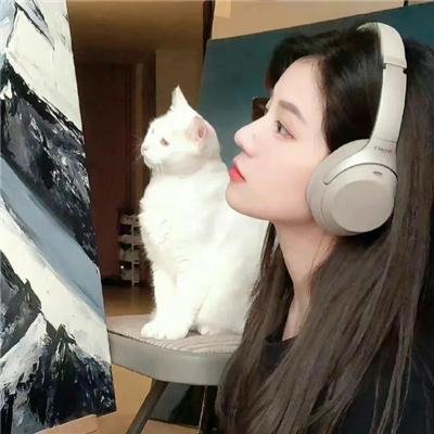 土狗的陆地头等舱